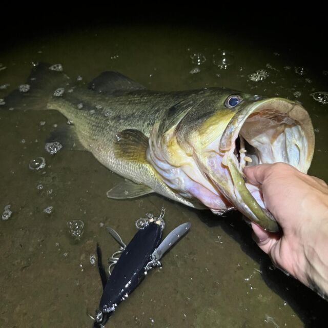 crawlerboyz – 捕食音鳴らす集団